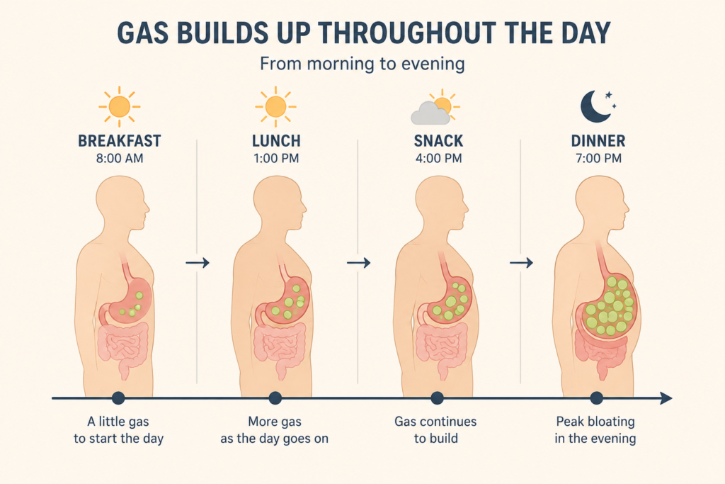 "evening bloating causes - cumulative gas buildup throughout the day"